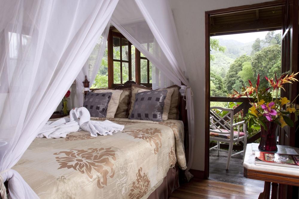 Forres Park Hotel 킹스톤 외부 사진